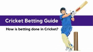 9wicketpost2