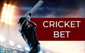 9wicketpost3
