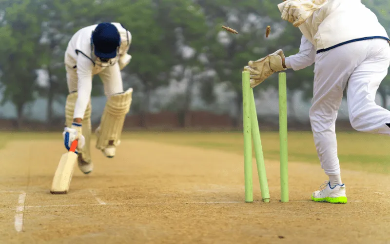 Cricket Wicket