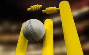 most wicket in World Cup